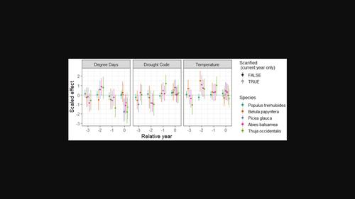 Seedling recruitment in response to stand composition, interannual climate variability, and soil disturbance in the boreal mixed woods of Canada