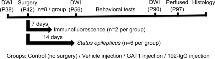 Selective Medial Septum Lesions in Healthy Rats Induce Longitudinal Changes in Microstructure of Limbic Regions, Behavioral Alterations, and Increased Susceptibility to Status Epilepticus.