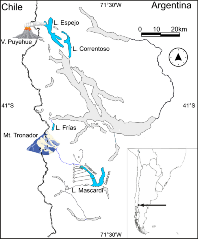 Vertical distribution of picocyanobacteria in deep lakes: the influence of inorganic turbidity