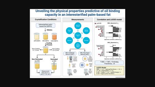 Unveiling the physical properties predictive of oil binding capacity in an interesterified palm-based fat