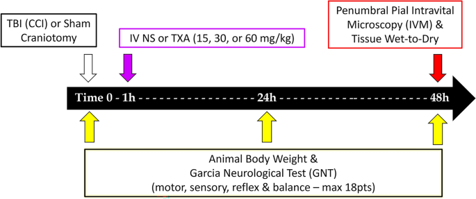 Dose-Dependent Tranexamic Acid Blunting of Penumbral Leukocyte Mobilization and Blood-Brain Barrier Permeability Following Traumatic Brain Injury: An In Vivo Murine Study.