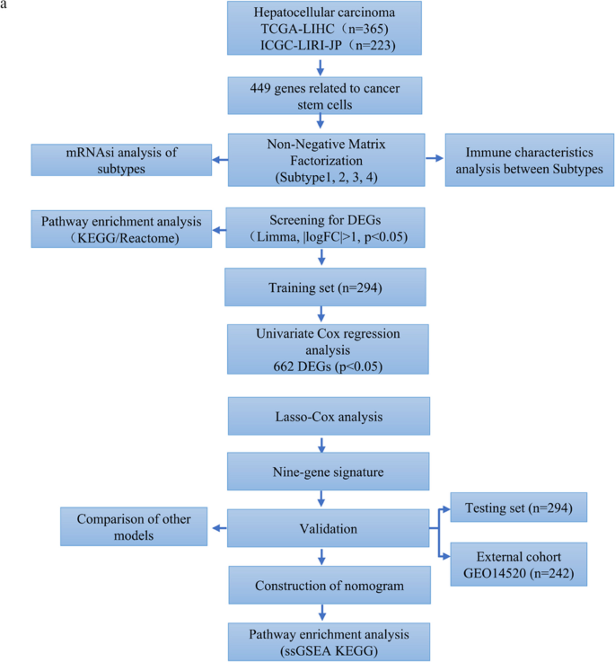 Identification and validation of a novel nine-gene prognostic signature of stem cell characteristic in hepatocellular carcinoma.