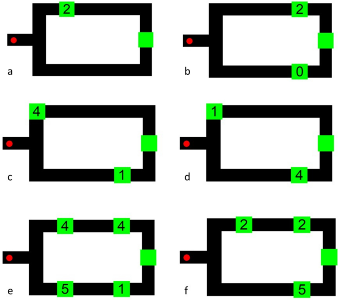 Maze runners: monkeys show restricted Arabic numeral summation during computerized two-arm maze performance