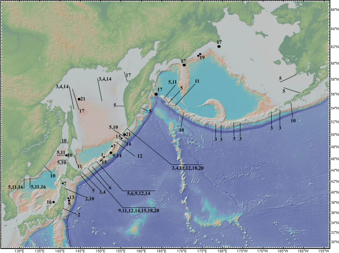 New data on the Caprellidae (Amphipoda: Senticaudata) from the Koryak slope of the Bering Sea with description of Liropus beringi sp. nov.