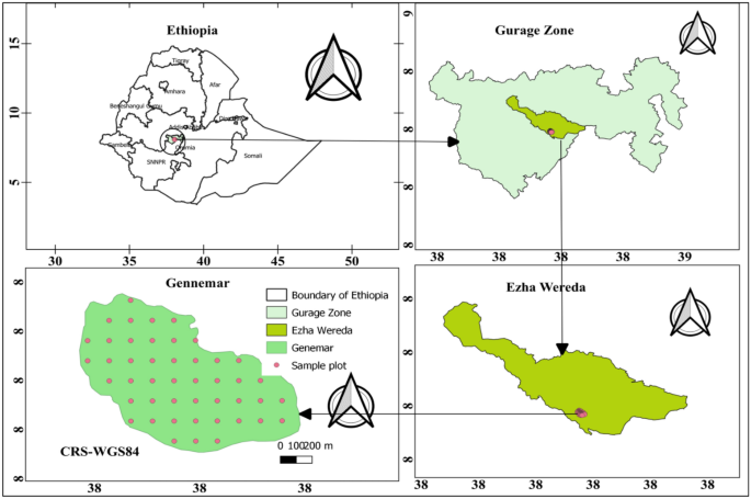 Patterns and drivers of the above- and below-ground carbon stock in Afromontane forest of southern Ethiopia: implications for climate change mitigation