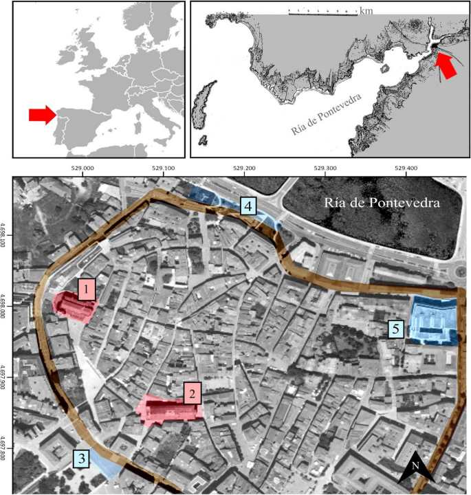 Biting into the truth: Connecting oral pathology and stable isotopes through the paradigmatic example of a hyper-specialized marine diet in Medieval Pontevedra (NW Iberia)