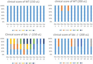 Lack of Syndecan-1 promotes the pathogenesis of experimental rheumatoid arthritis.