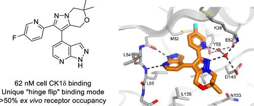 Structure-Based Optimization of Selective and Brain Penetrant CK1δ Inhibitors for the Treatment of Circadian Disruptions
