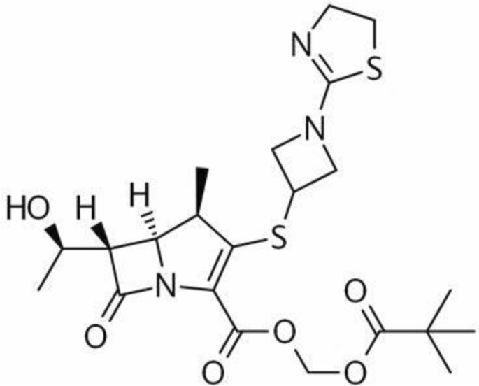 Bioequivalence Study of Tebipenem Pivoxil in Healthy Chinese Adults.