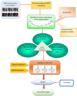 Identification and Localization of Indolent and Aggressive Prostate Cancers Using Multilevel Bi-LSTM.