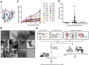 gp120-derived amyloidogenic peptides form amyloid fibrils that increase HIV-1 infectivity