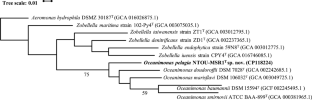 Oceanimonas pelagia sp. nov., a novel biosurfactant-producing and plastic-degrading potential bacterium isolated from marine coastal sediment.