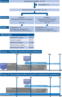 Electroencephalographic guided propofol-remifentanil TCI anesthesia with and without dexmedetomidine in a geriatric population: electroencephalographic signatures and clinical evaluation.