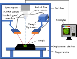 A Method for Non-destructive Detection of Moisture Content in Oilseed Rape Leaves Using Hyperspectral Imaging Technology