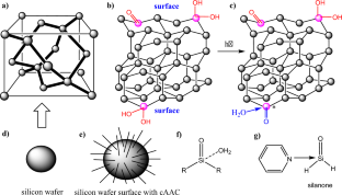 Activation of water at disiladicarbene: from the perspective of modification of silicon surface with organo-silicon compounds