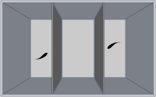 Behavioural interactions between a threatened native killifish and the alien invasive Eastern mosquitofish