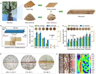 Bonding Plant Fibers with Uncondensed Lignin as Adhesive