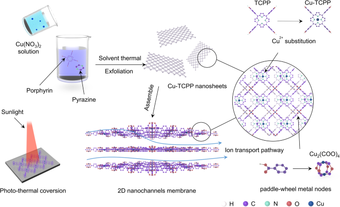 Light-responsive and ultrapermeable two-dimensional metal-organic framework membrane for efficient ionic energy harvesting