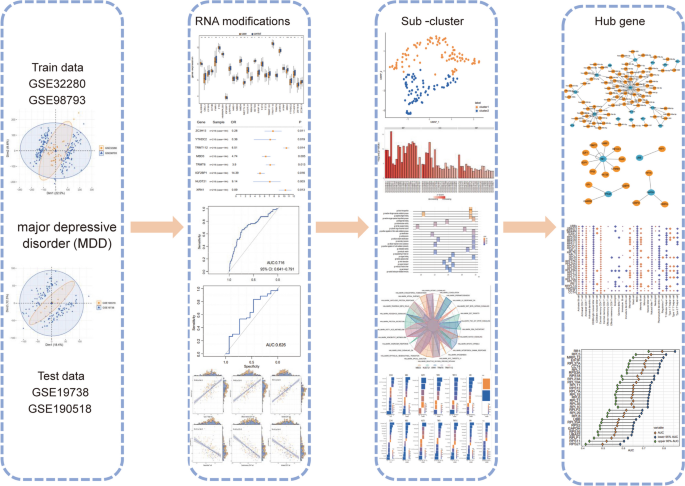 m6A/m1A/m5C-Associated Methylation Alterations and Immune Profile in MDD.