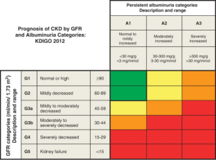 Management Considerations for Acute Coronary Syndromes in Chronic Kidney Disease.