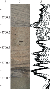 Construction of Texture Feature Profiles Using Whole Core Images