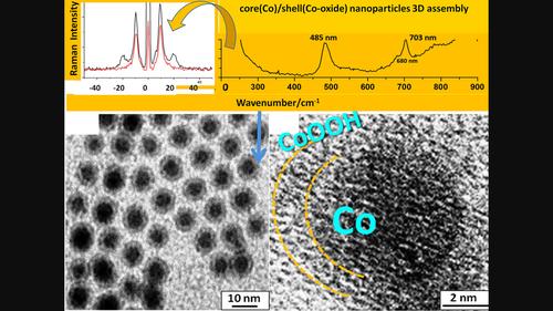 Multiscale identification of the inorganic shell of core (Co)/shell-assembled nanoparticles