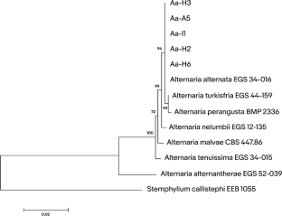 A suitable alternative to antifungal agents for the control of early blight disease-Alternaria alternata of tomato