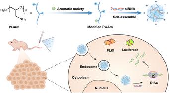 Novel aromatic moieties-modified poly(glycidyl amine)s with potent siRNA delivery and cancer treatment effect†