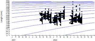 Population Age Structure and Stock Assessment of Reeve’s Croaker Chrysochir aurea (Richardson, 1846) Along West Bengal Coast of India