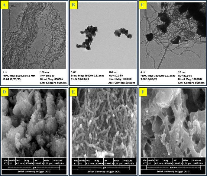 A Recycled-Material-Based Electrochemical Eco-sensor for Sensitive Detection of Antischistosomal Drug Residues in Bovine-Derived Food Samples