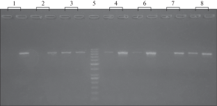 Polymorphism of CSN2 and TNF-α Genes in the Population of Holstein Cattle Bred in Ukraine