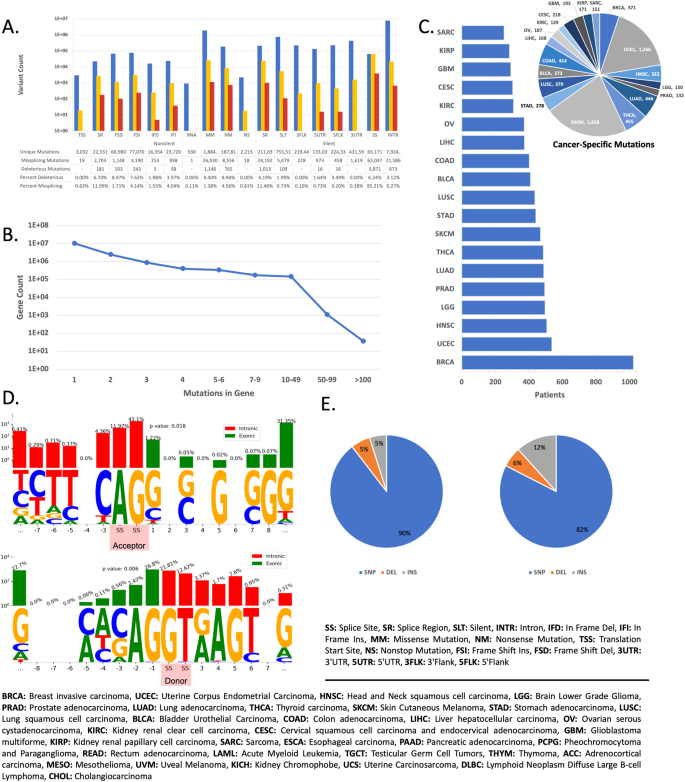 Detecting and understanding meaningful cancerous mutations based on computational models of mRNA splicing.