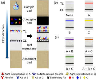 Simultaneous Triplex Detection in a Single-Test-Line Lateral Flow Immunoassay Utilizing Distinct Nanoparticle Colorimetry