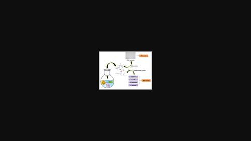 Synthesis and Characterization of Functionalized Starch by Grafting Pyridine for Use in Antimicrobial Applications