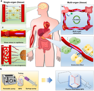 Passive-Flow-Based MPS: Emerging Physiological Flow-Mimetic Platforms for Studying Effects of Flow on Single Tissues and Inter-tissue Interactions