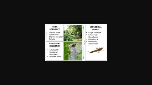 Rising water temperature in rivers: Ecological impacts and future resilience