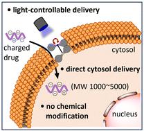 Light-controllable cell-membrane disturbance for intracellular delivery†