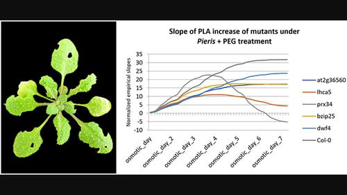 Genome-wide association analysis reveals genes controlling an antagonistic effect of biotic and osmotic stress on Arabidopsis thaliana growth.