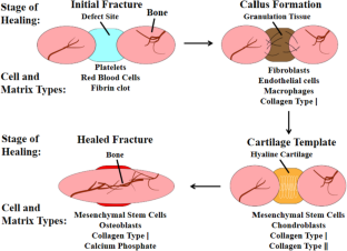 Application of biomimetic three-dimensional scaffolds in bone tissue repairing