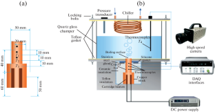 Synergistic Effects of Hydrophilic-Hydrophobic Porous Structures for Enhancing Nucleate Pool Boiling Heat Transfer