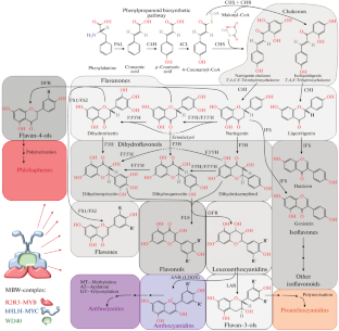 Adaptive Significance and Origin of Flavonoid Biosynthesis Genes in the Grain of Cultivated Cereals