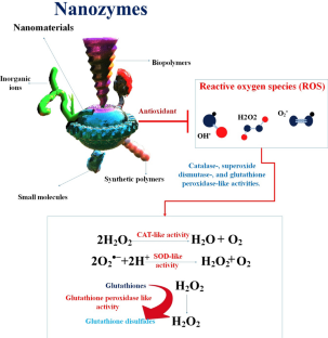 The potential use of nanozyme in aging and age‐related diseases