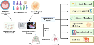 Lung Organoids: Systematic Review of Recent Advancements and its Future Perspectives