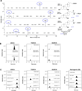 Bioanalysis of ursodeoxycholic acid and its metabolites and improved oral bioavailability using mixed micelles with poloxamer 407 and polysorbate 80