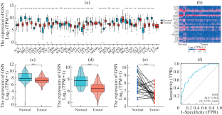 Identification of Low Expression of GSN as a Key Prognosis Gene in Patients with Gastric Carcinoma