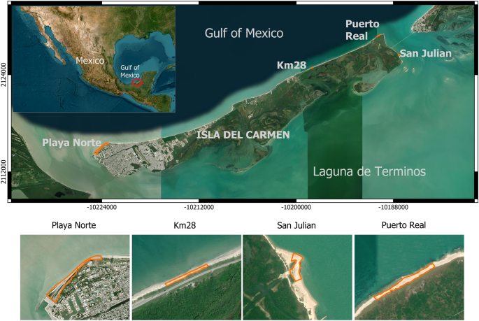 Assessing Southern Gulf of Mexico Resilience: Least Tern Nesting Failure During the COVID-19 Pandemic