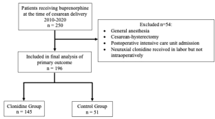 Neuraxial clonidine is not associated with lower post-cesarean opioid consumption or pain scores in parturients on chronic buprenorphine therapy: a retrospective cohort study.