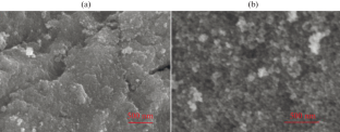 Studies on Photocatalytic Degradation for Organic Pollutants by TiO2/Au Composite and its Antibacterial Properties