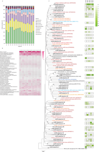 Soil Microbiomes and their Arsenic Functional Genes in Chronically High-Arsenic Contaminated Soils