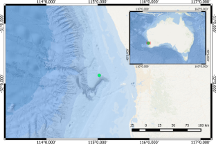 Do Whales Sing to Their Own Tune? Comparing the Variability Within and Between Song Events of the Eastern Indian Ocean Pygmy Blue Whale